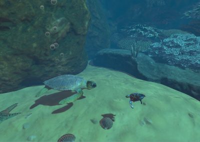 VR Unterwasserwelt