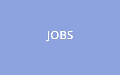 AR-Entwickler gesucht (Job-Angebot)